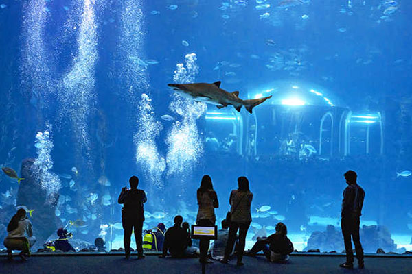 Interior del acuario Poema del Mar. Foto Web RTVC