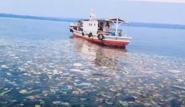 Amenaza plástico ecosistema marino